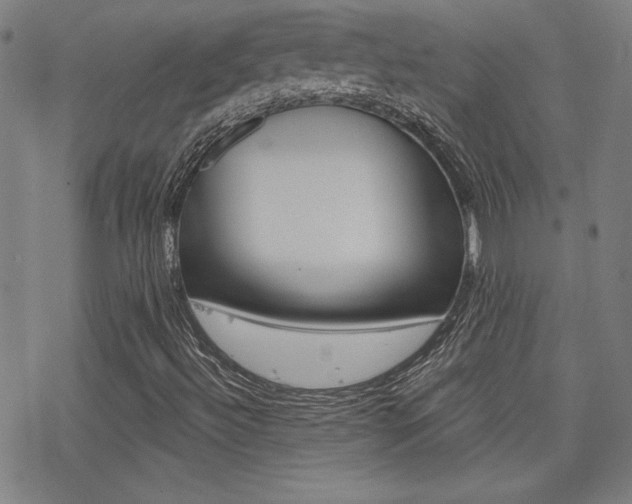 X0000078011492200610270934