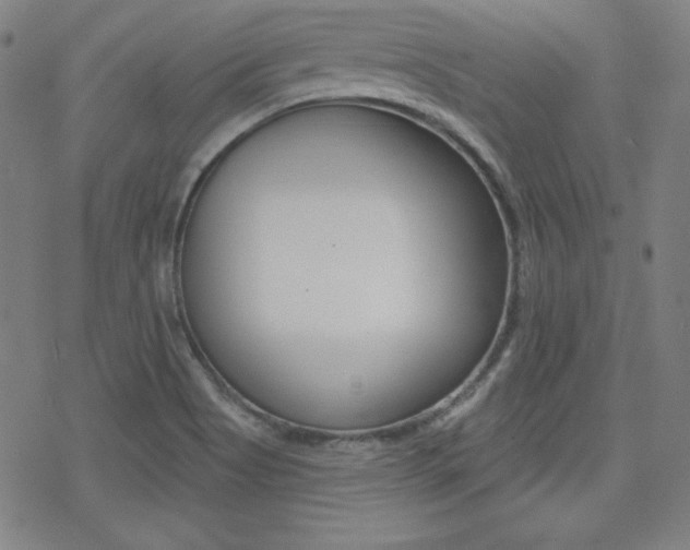 X0000078011513200610270935