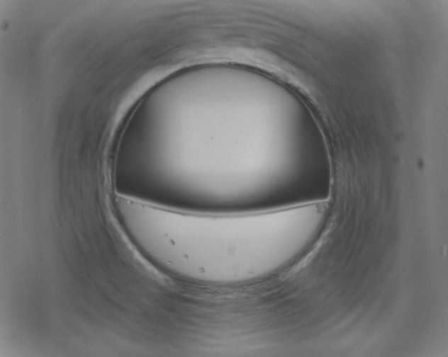 X0000078011517200610270935