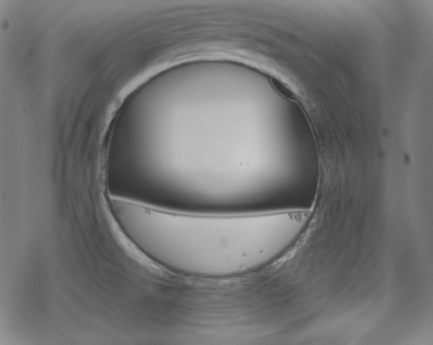 X0000078011526200610270935