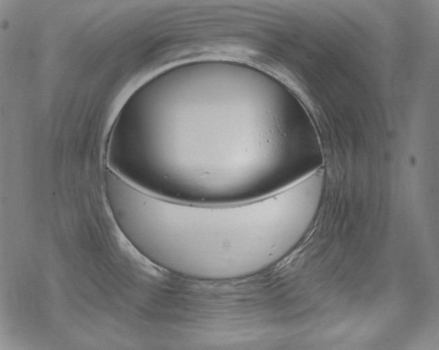 X0000078011532200610270935