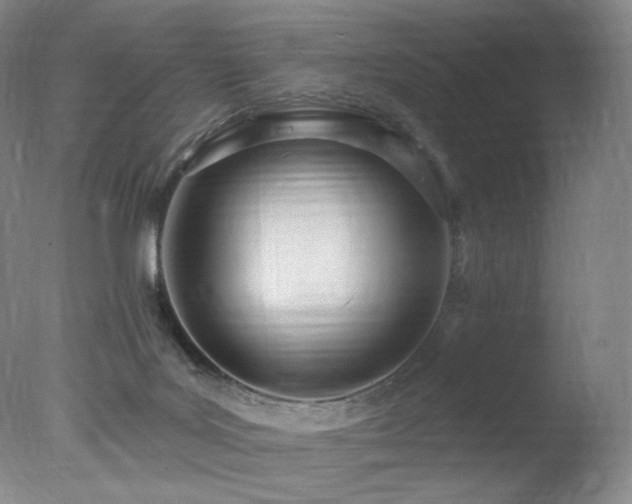 X0000078010027200610271219