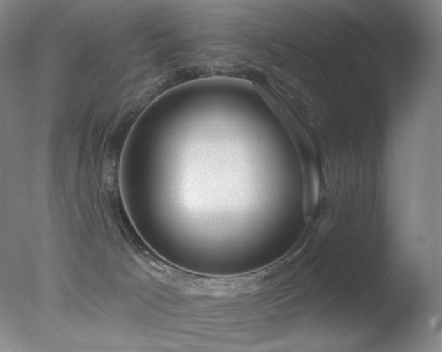 X0000078010033200610271219