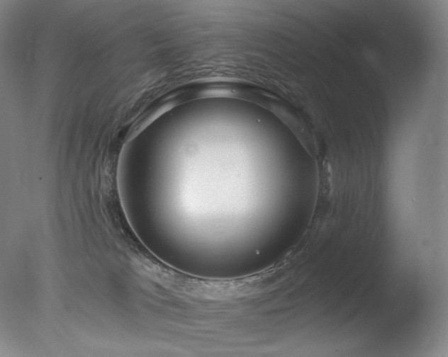 X0000078010037200610271219