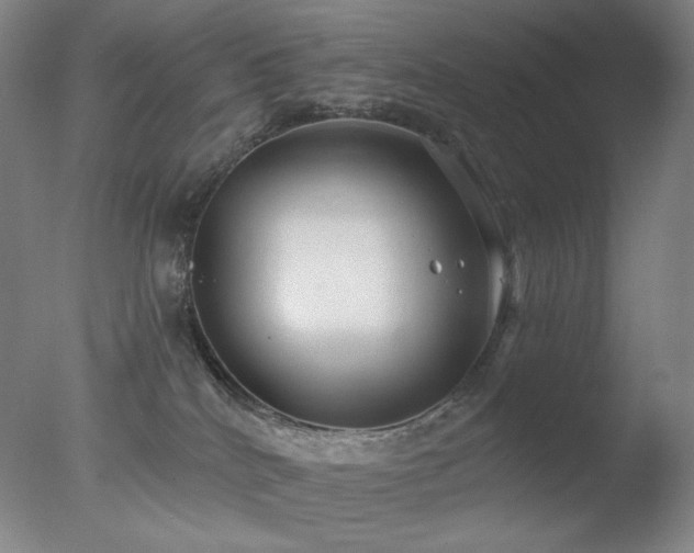 X0000078010040200610271219