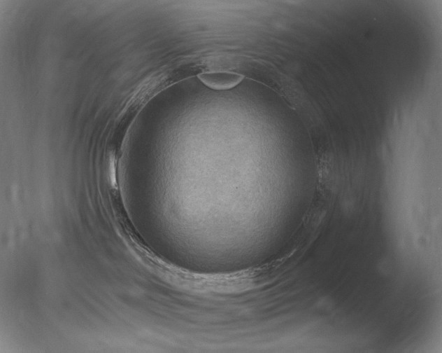 X0000078010046200610271219