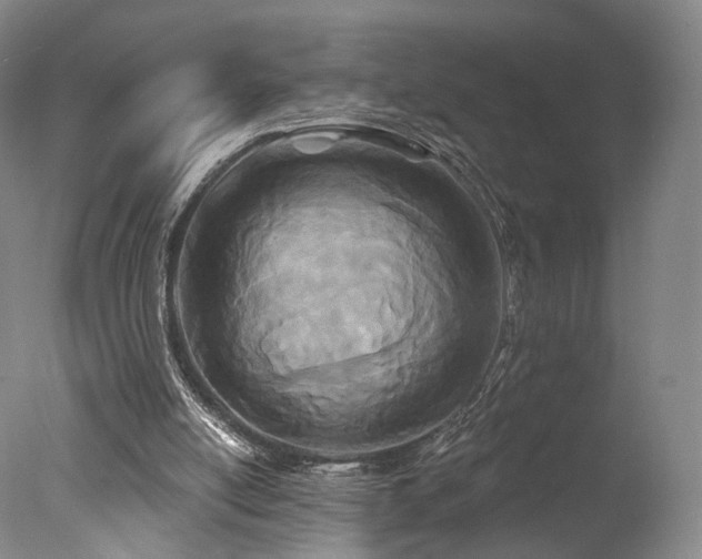 X0000078010054200610271218