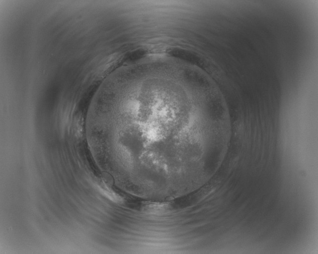 X0000078010081200610271219