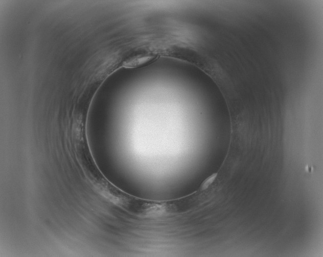X0000078010083200610271219