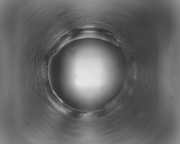 X0000078010092200610271219