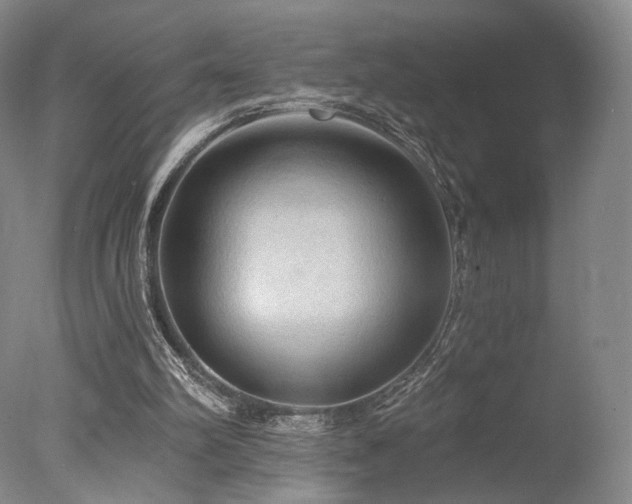 X0000078010102200610271218