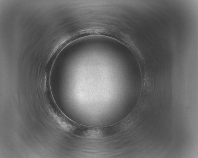 X0000078010110200610271218