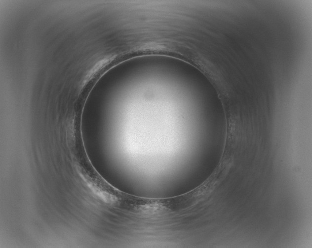 X0000078010112200610271218