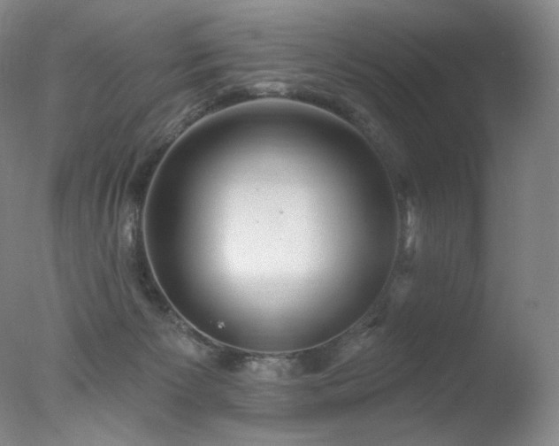 X0000078010125200610271218
