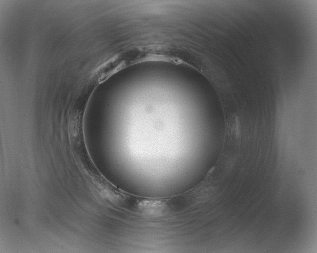 X0000078010133200610271218