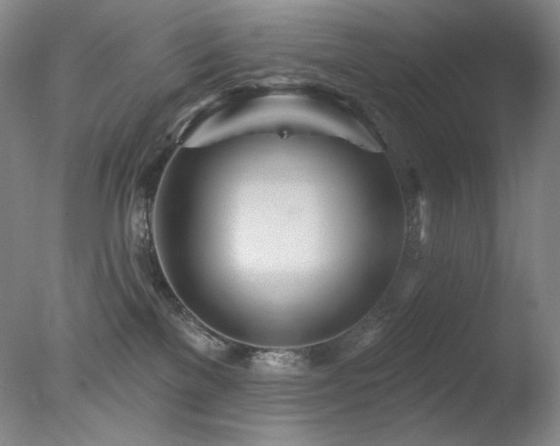 X0000078010137200610271217