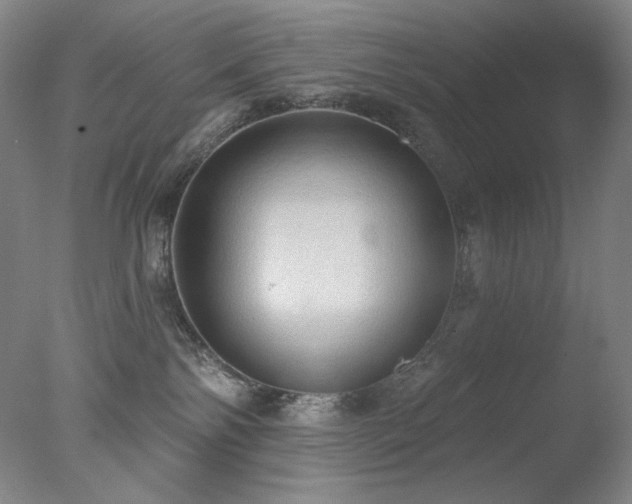 X0000078010138200610271217