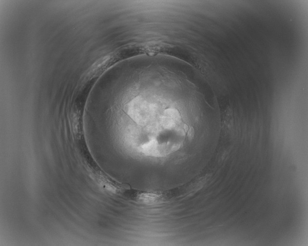 X0000078010139200610271217