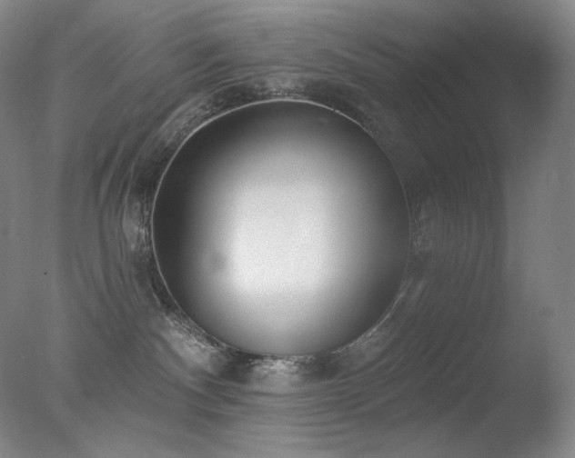 X0000078010140200610271217