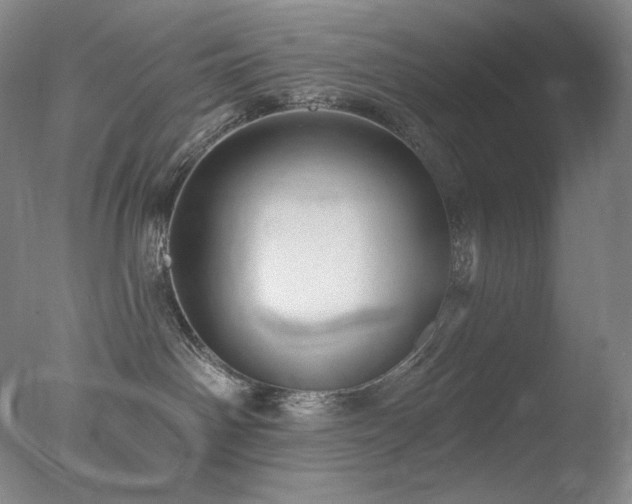 X0000078010142200610271217