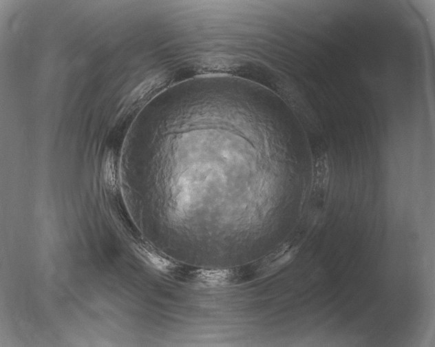 X0000078010143200610271217