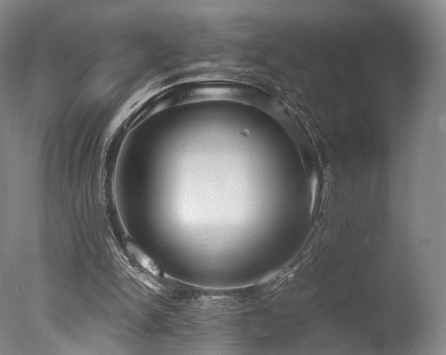 X0000078010150200610271217