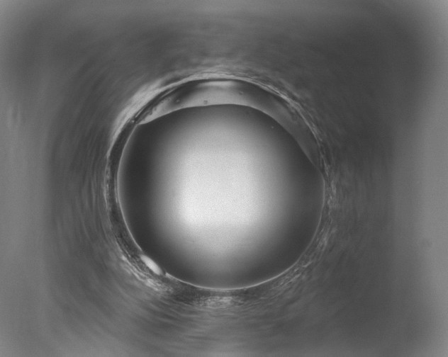 X0000078010152200610271217