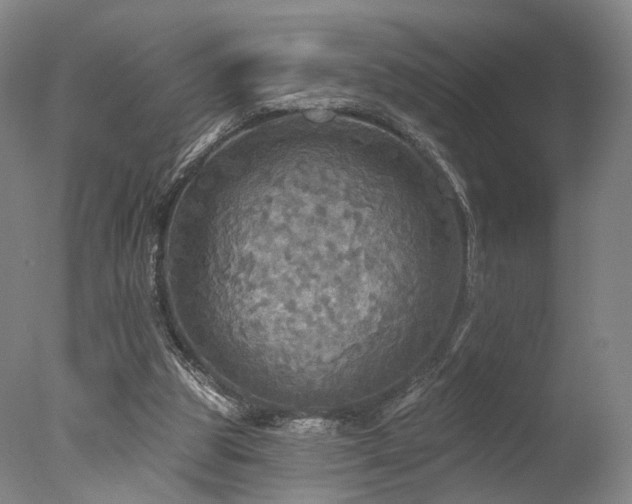 X0000078010153200610271217
