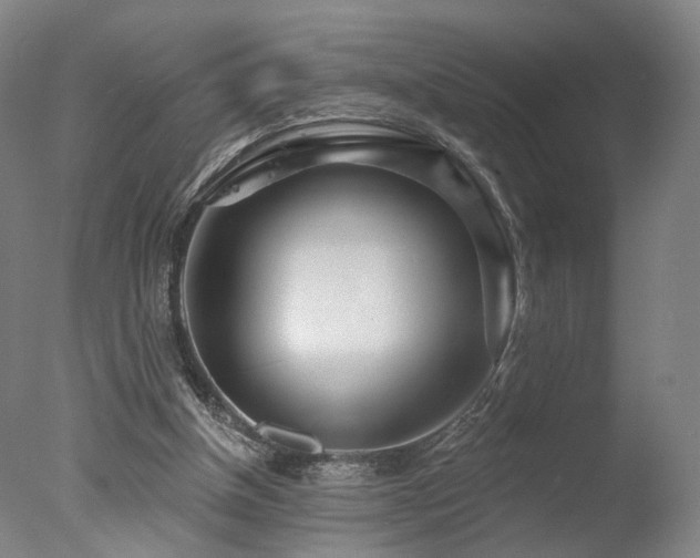 X0000078010154200610271217