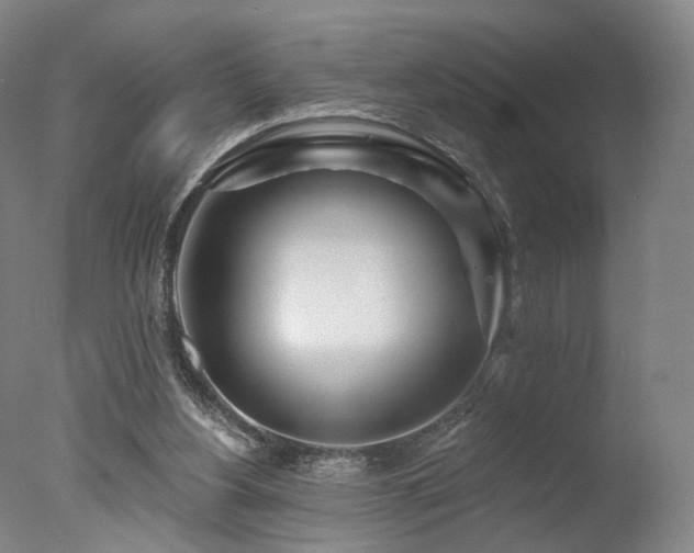 X0000078010156200610271217