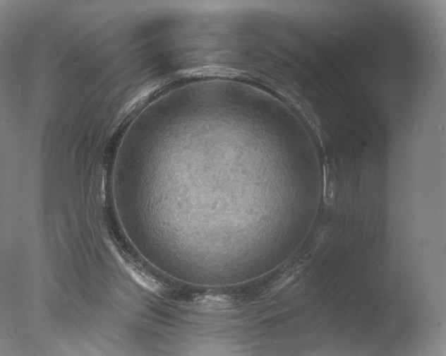 X0000078010157200610271217
