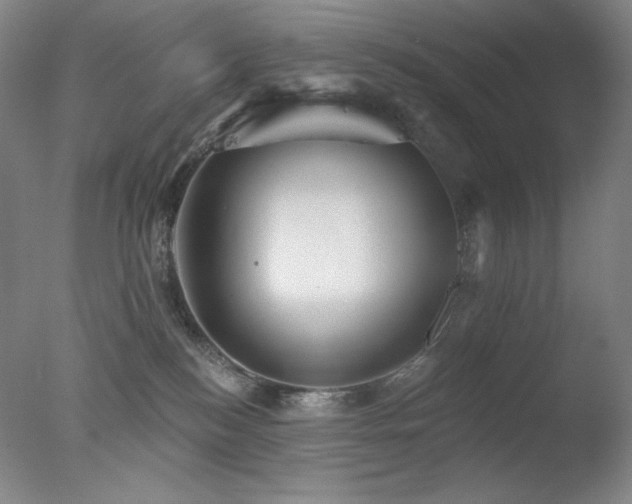 X0000078010184200610271217