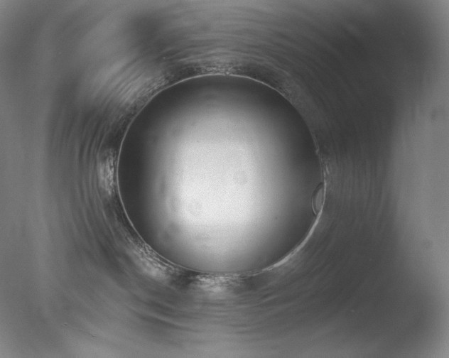 X0000078010190200610271217