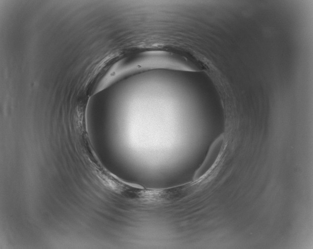 X0000078010192200610271217