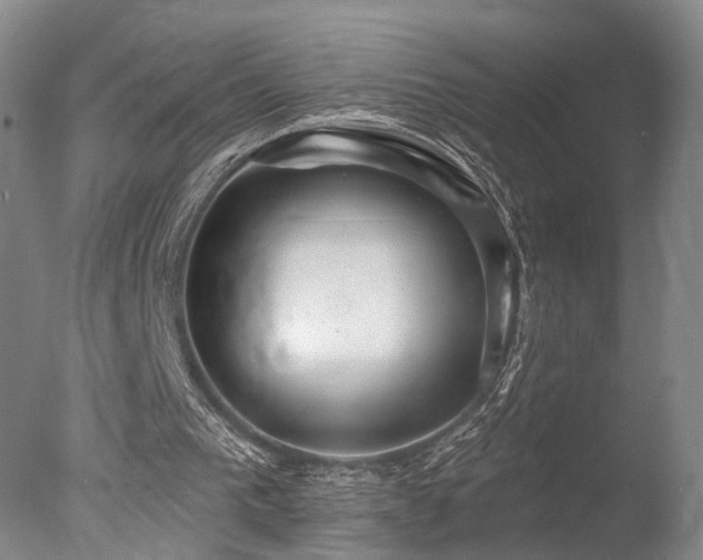 X0000078010193200610271217