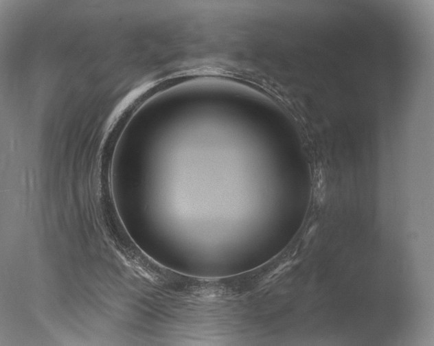 X0000078010200200610271216