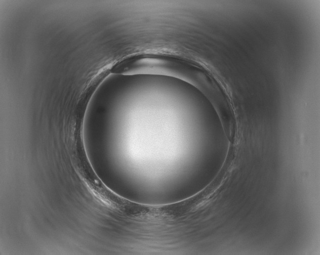 X0000078010201200610271216