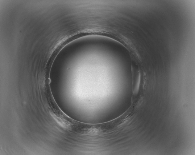 X0000078010204200610271216