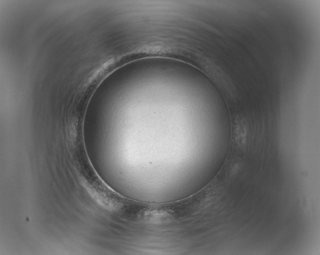 X0000078010208200610271216