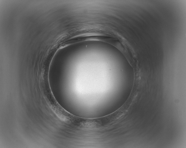 X0000078010209200610271216