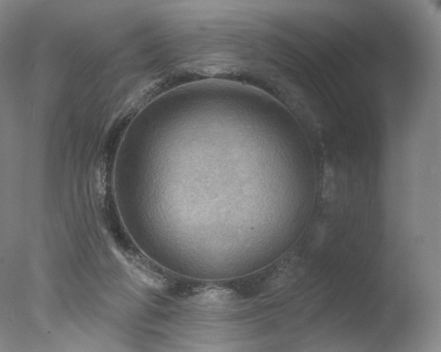 X0000078010210200610271216