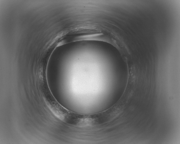 X0000078010212200610271216