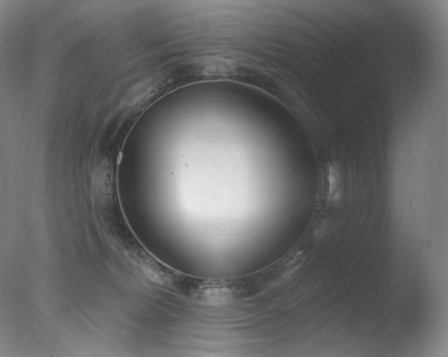 X0000078010228200610271216