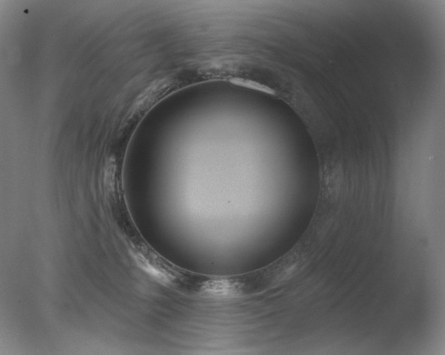 X0000078010231200610271216