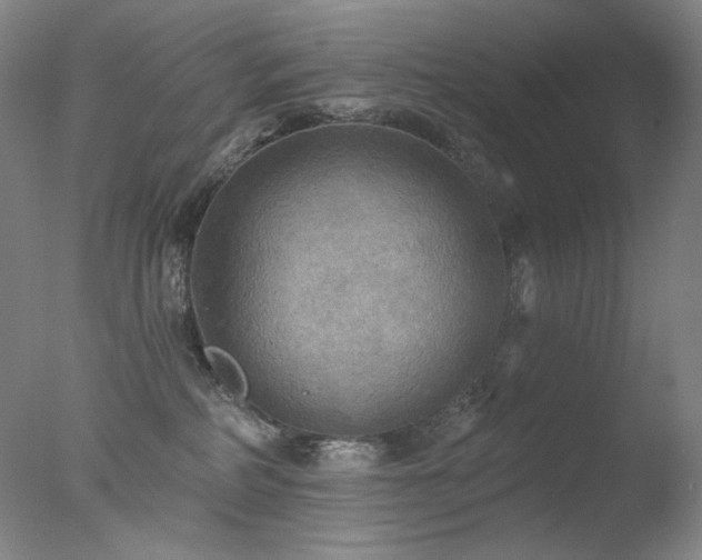 X0000078010234200610271216