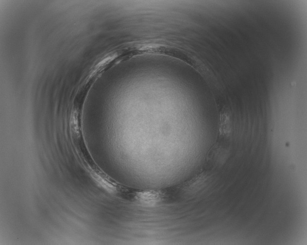 X0000078010238200610271216