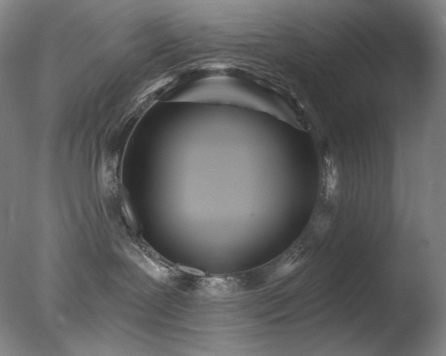 X0000078010239200610271216