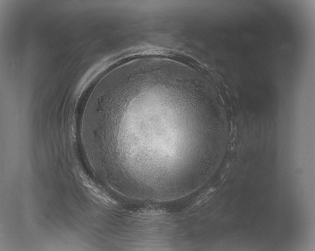 X0000078010247200610271215