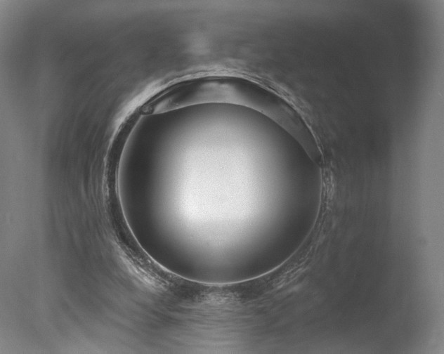 X0000078010248200610271215