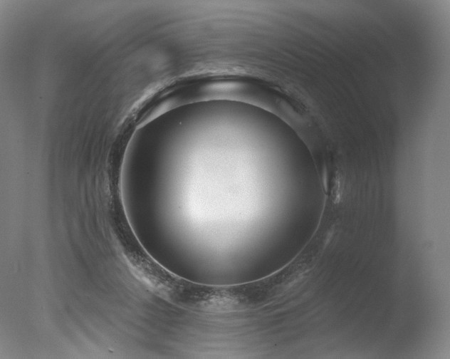 X0000078010256200610271215